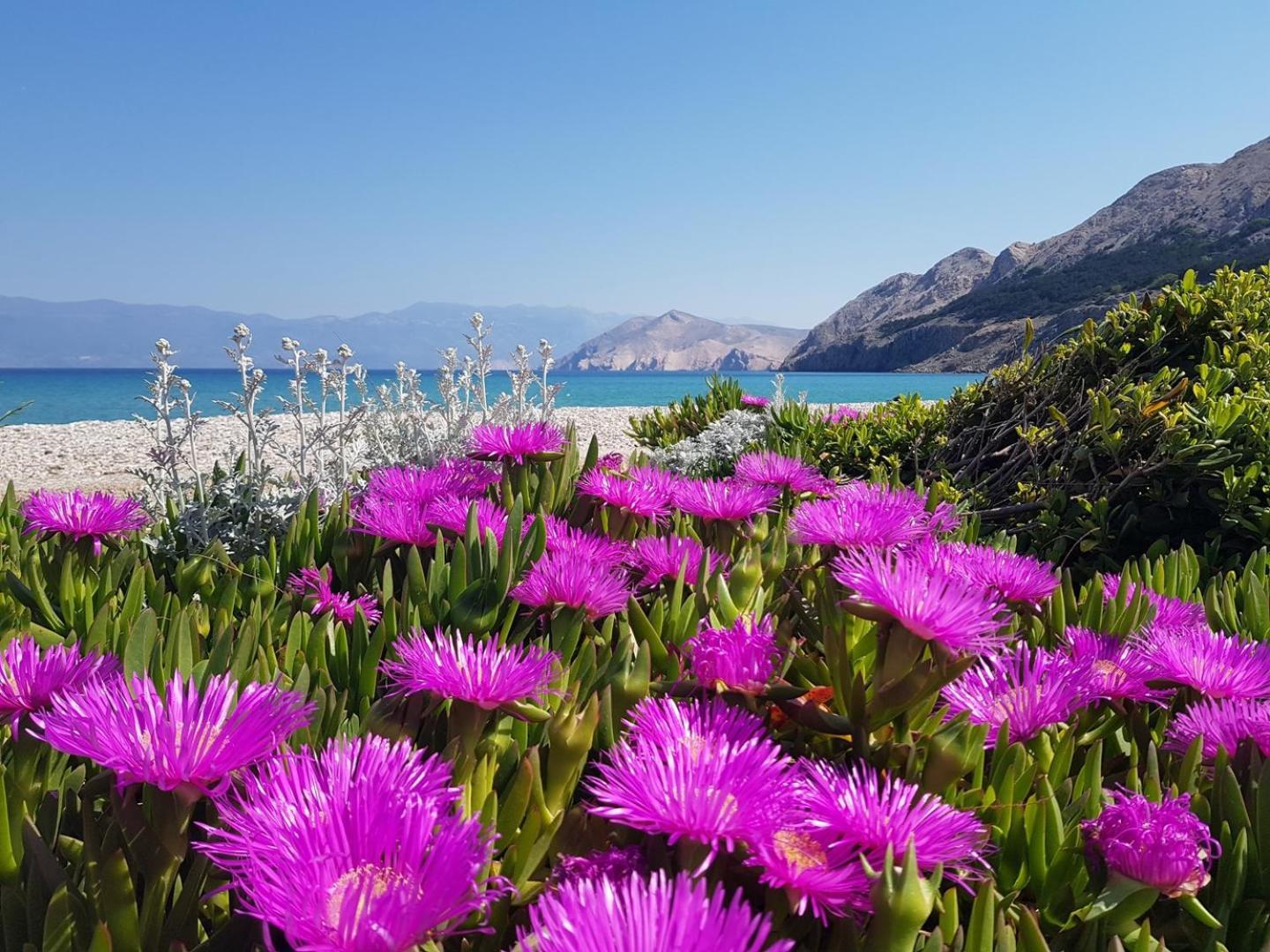 Apartments Hrabric Baška Zewnętrze zdjęcie